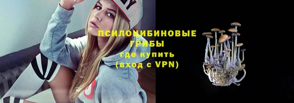 мескалин Мегион