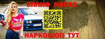 МДПВ Партизанск